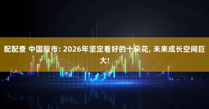 配配查 中国股市: 2026年坚定看好的十朵花, 未来成长空间巨大!